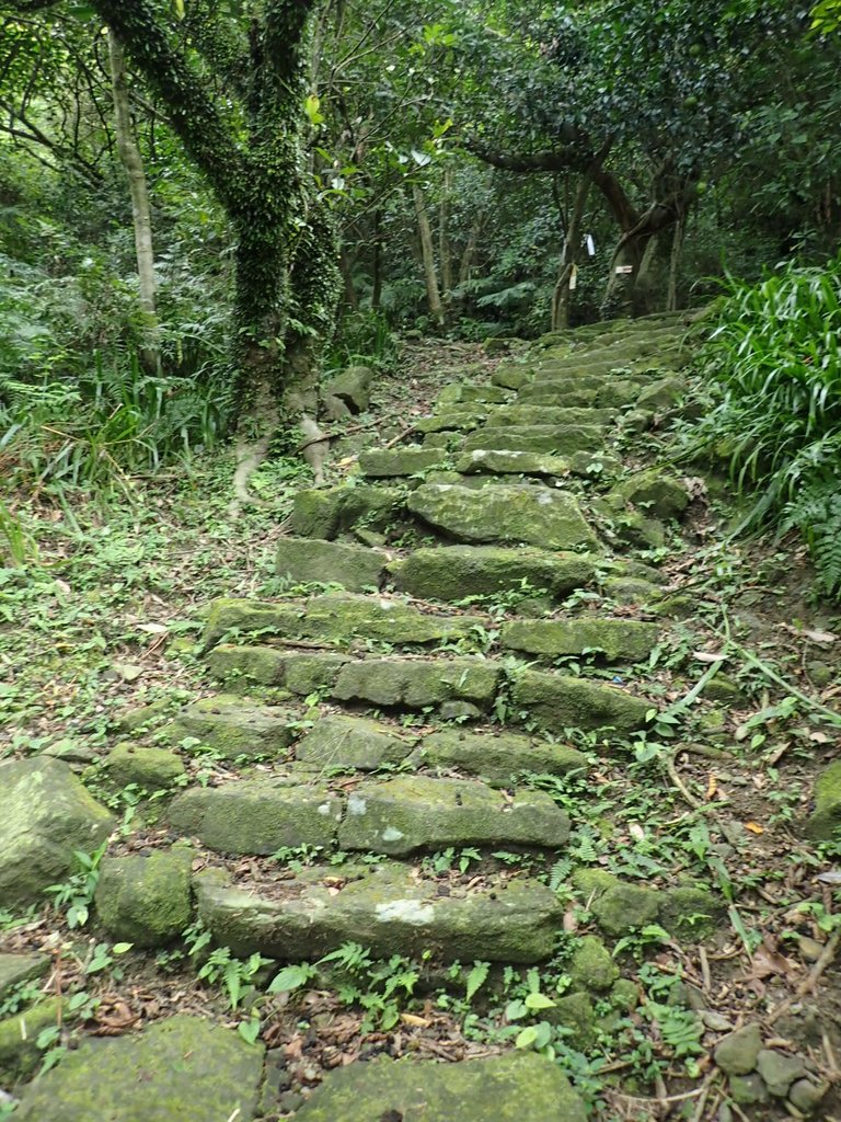 P7062128.JPG - 九份  小粗坑越嶺古道