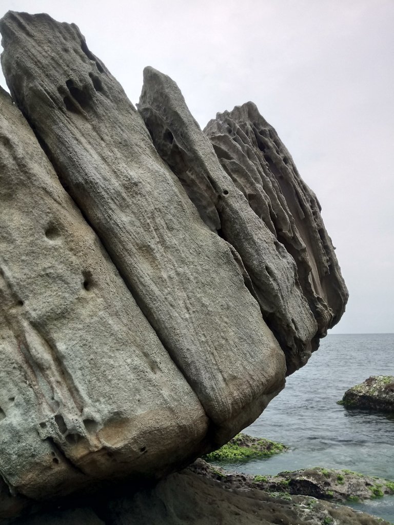 DSC_8001.JPG - 萬里  拳頭石海岸