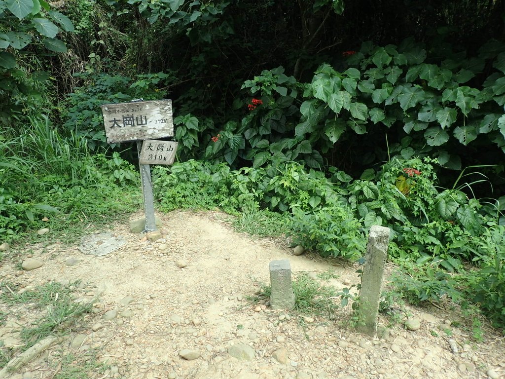 P9189247.JPG - 岡山  大崗山登山步道