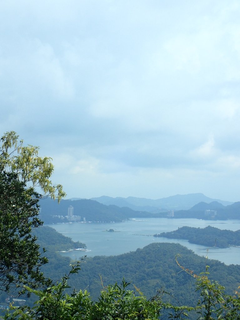 P9017446.JPG - 魚池  頭社  後尖山步道