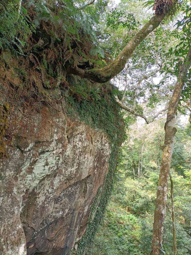 IMG20210403093326.jpg - 五峰  鵝公髻山登山步道  (01)