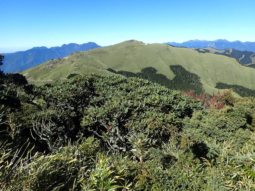 PC132131.JPG - 合歡山  東峰