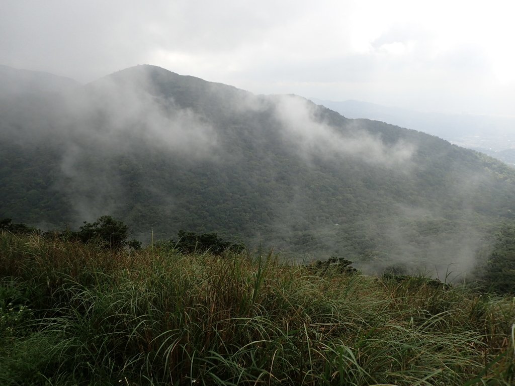 P9238257.JPG - 北投  面天山  向天湖步道