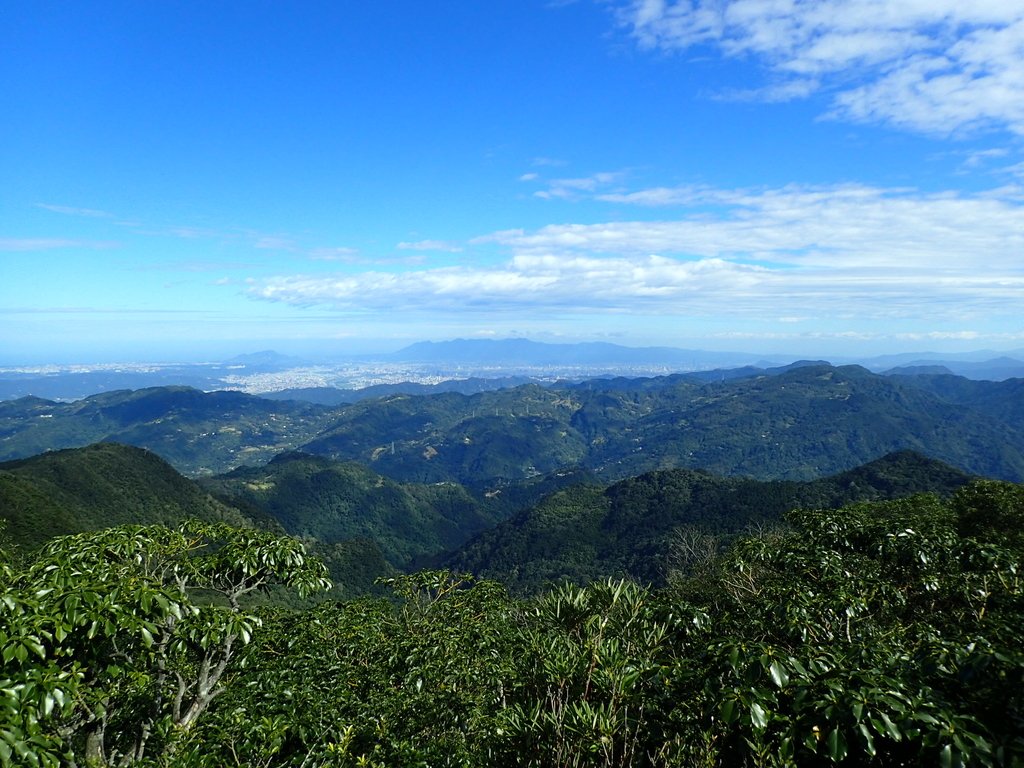 PB257499.JPG - 復興  東眼山森林步道