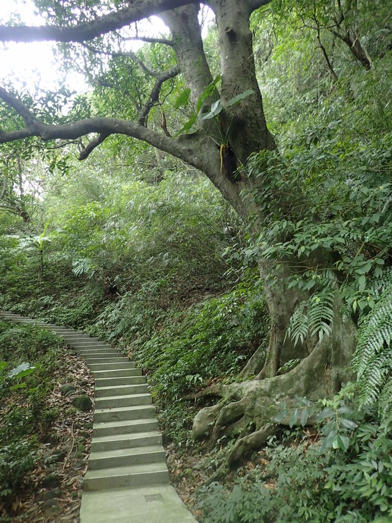 P1233727.JPG - 再訪---  基隆  紅淡山