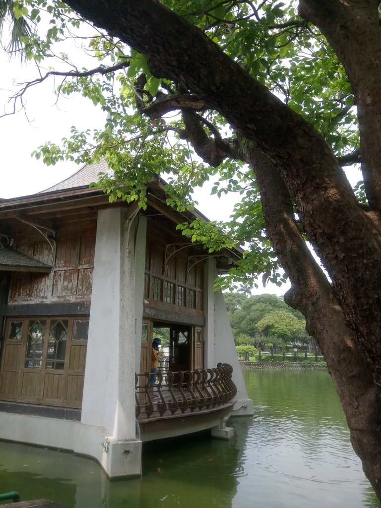 DSC_9924.JPG - 散步  台中公園一隅