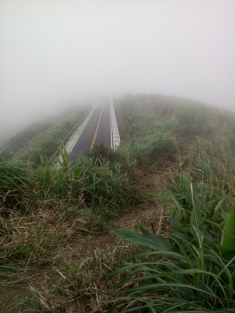 DSC_2871.JPG - 瑞芳  牡丹山