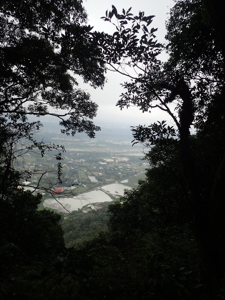 P2107500.JPG - 大溪  溪洲山登山步道