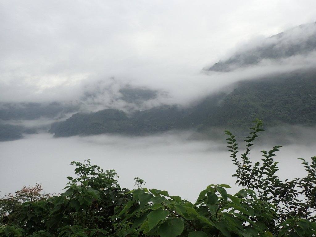 PA231546.JPG - 古坑  草嶺  雲山繚繞