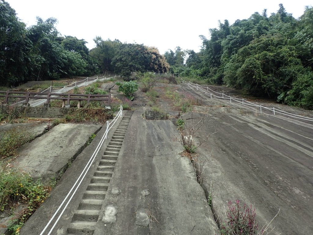 PA231652.JPG - 草嶺  茄苳步道  峭壁雄風