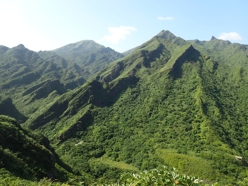 PA104827.JPG - 秋晴  南子吝山  登龍尾坪