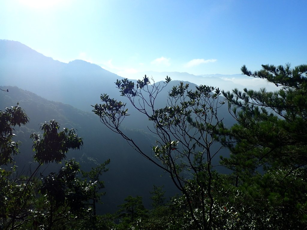 PA185491.JPG - 再訪---  台中  和平  鳶嘴山