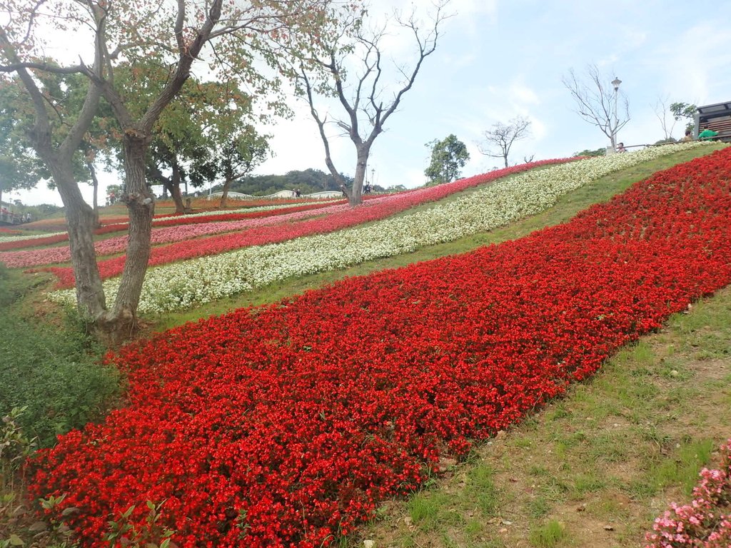 P2155426.JPG - 北投社  三層崎公園