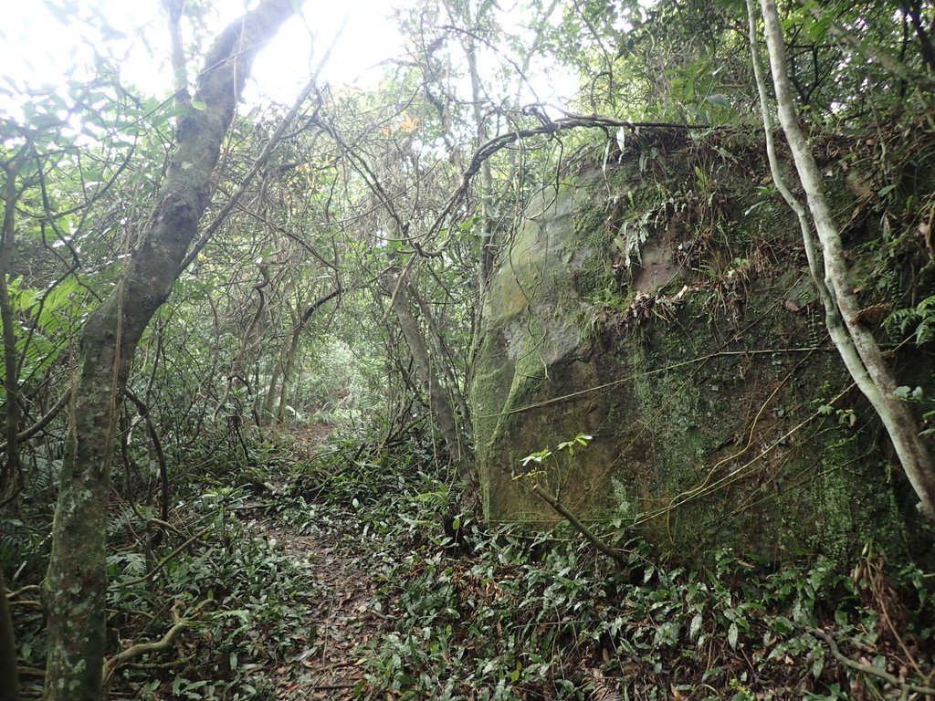 P3308230.JPG - 萬里  大路嶺古道行