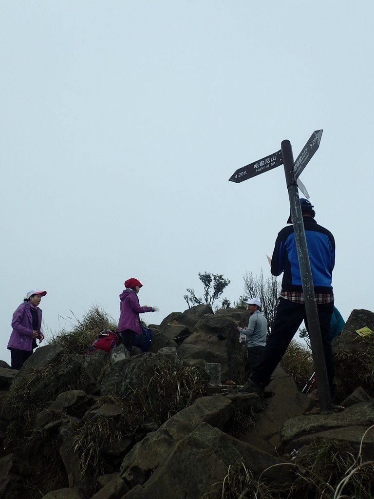 P2034893.JPG - 南庄  加里山