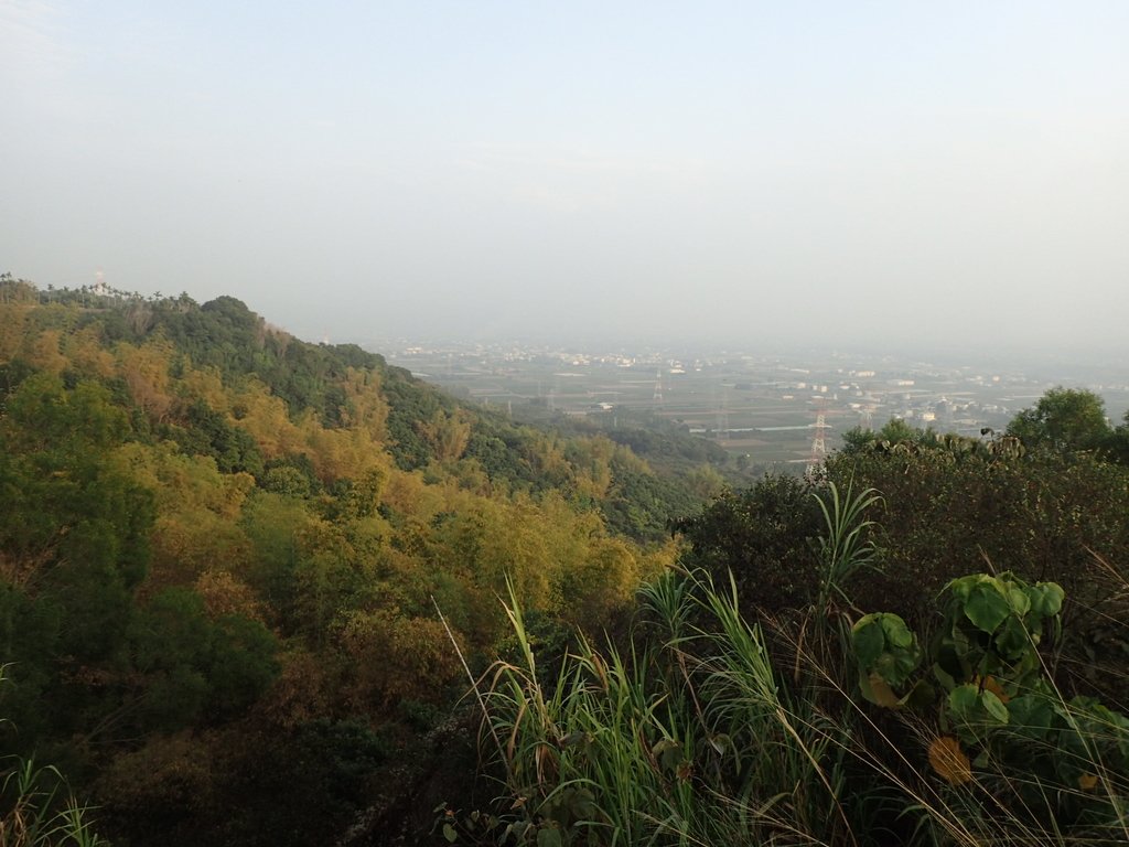 P3016159.JPG - 小百岳  橫山觀日步道