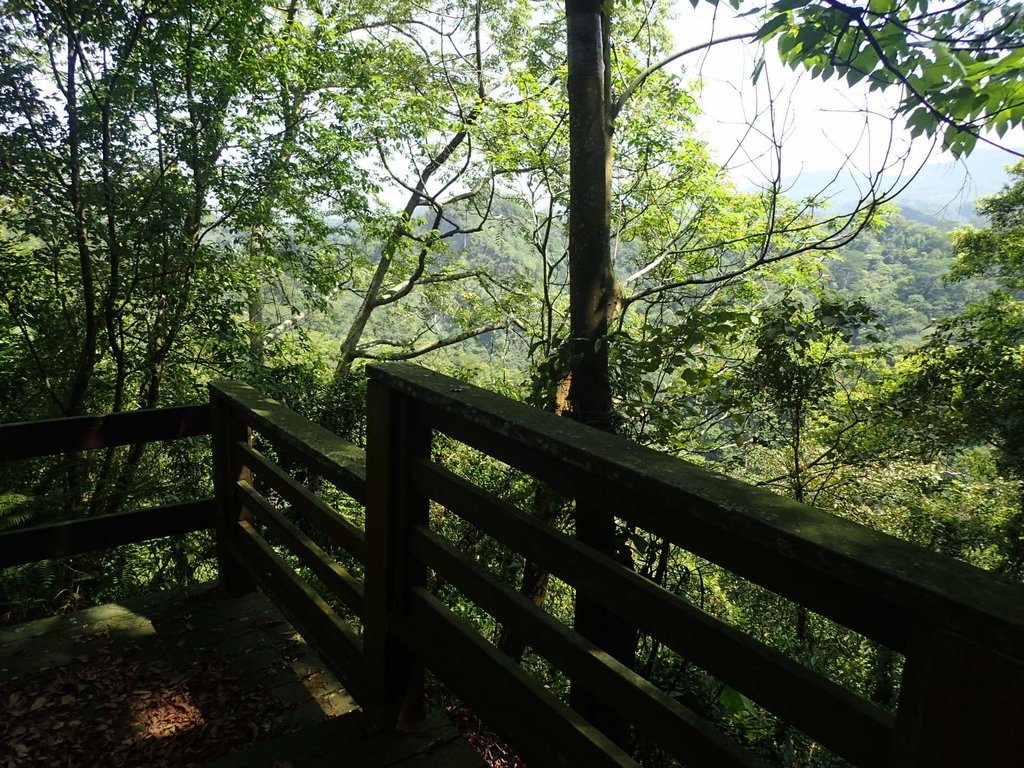 P4161418.JPG - 霧峰  青桐林生態園區