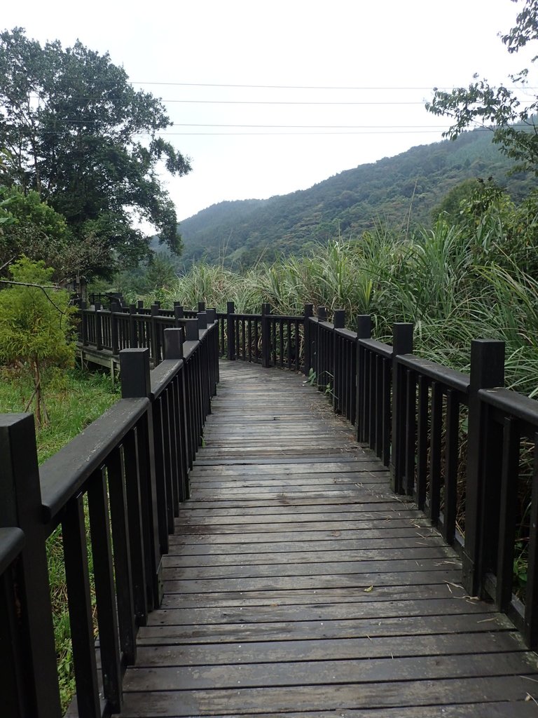 P9250262.JPG - 南庄  向天湖之  環湖步道