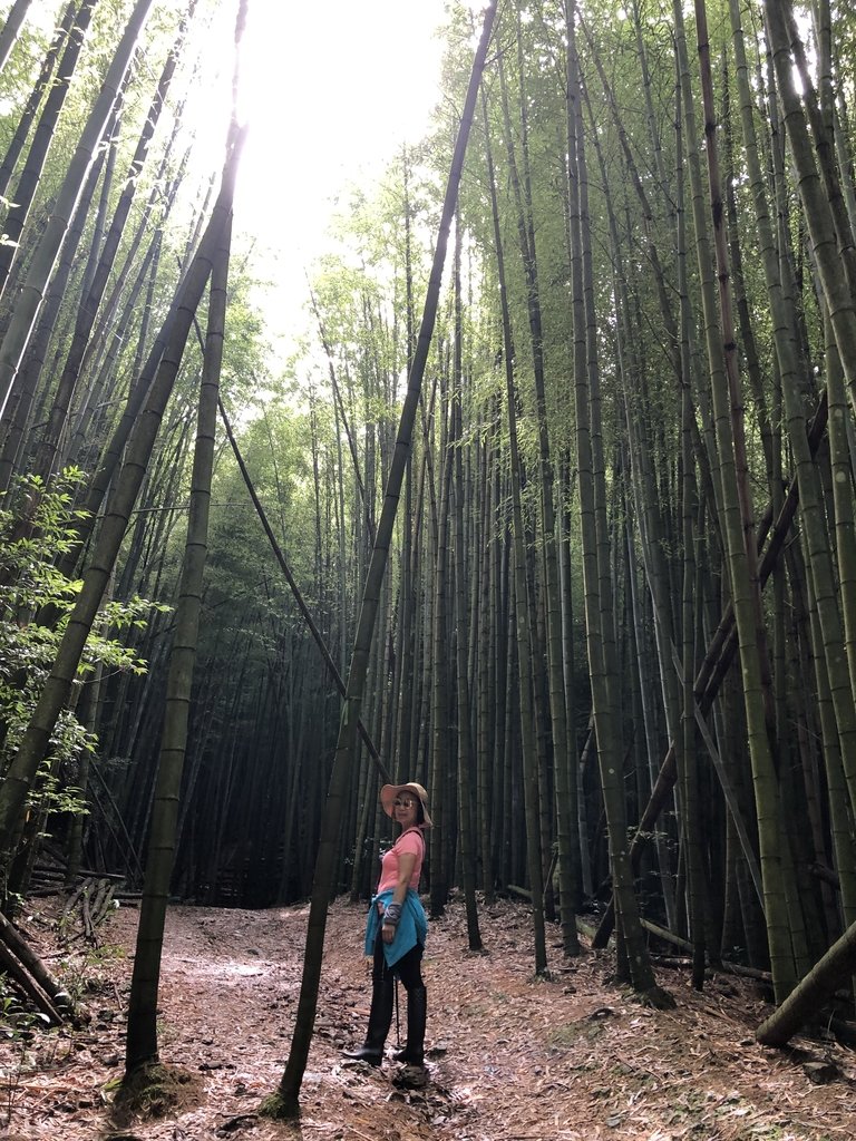 IMG_7668.JPG - 台中和平  長壽山登山步道  (中)