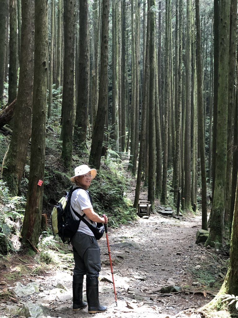 IMG_7712.JPG - 台中  和平  橫嶺山自然步道