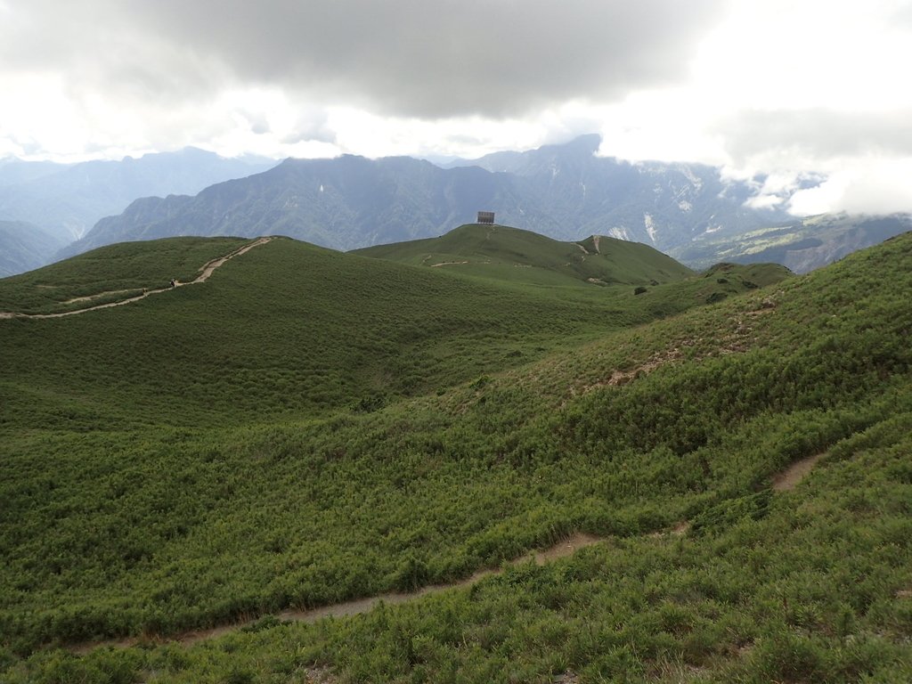 P7245993.JPG - 合歡山  北峰之美  (中)