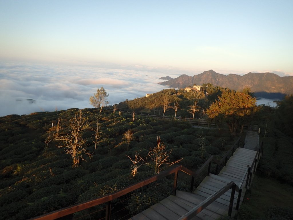 P1076420.JPG - 鹿谷  大崙山  觀霧亭之  暮光