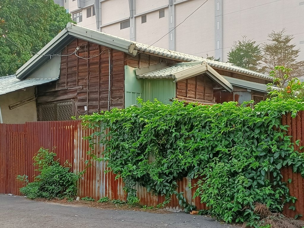 IMG20210205165952.jpg - 原  南投尋常高等小學校  遺跡