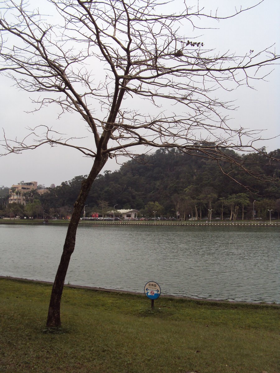 DSC04625.JPG - 內湖  碧湖環湖步道