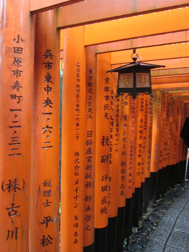 IMG_3693.JPG - 伏見稻荷神社  千本鳥居