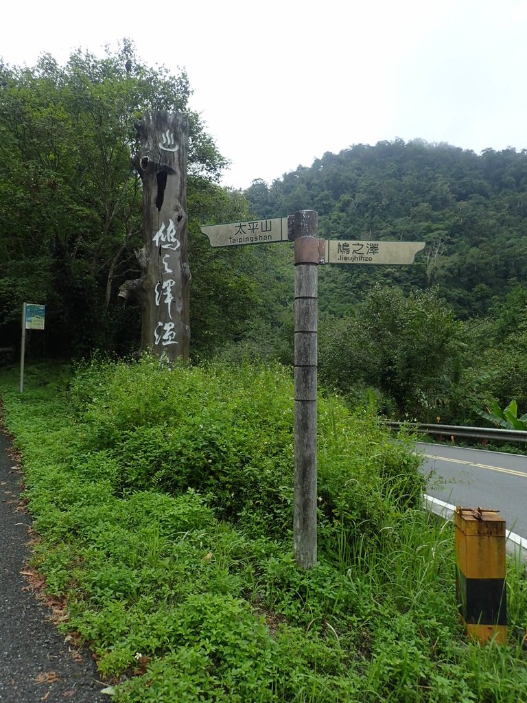 P8226903.JPG - 太平山  鳩之澤溫泉