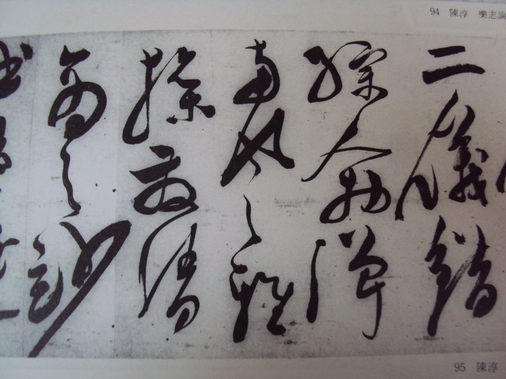 DSC00252.JPG - 陳淳的草書作品