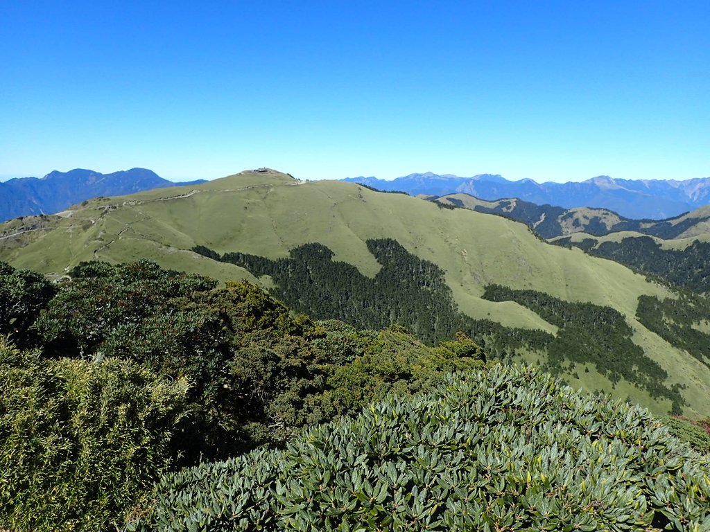 PC132134.JPG - 合歡山  東峰