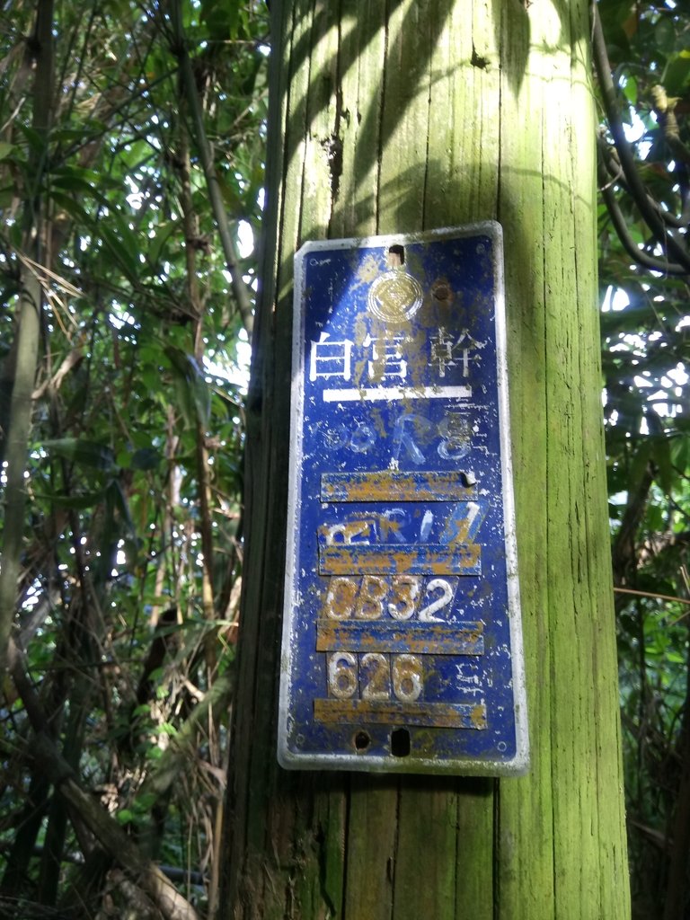 DSC_6884.JPG - 北投  面天山  向天湖步道