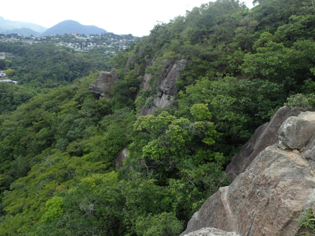 P9238373.JPG - 北投  熱海岩場