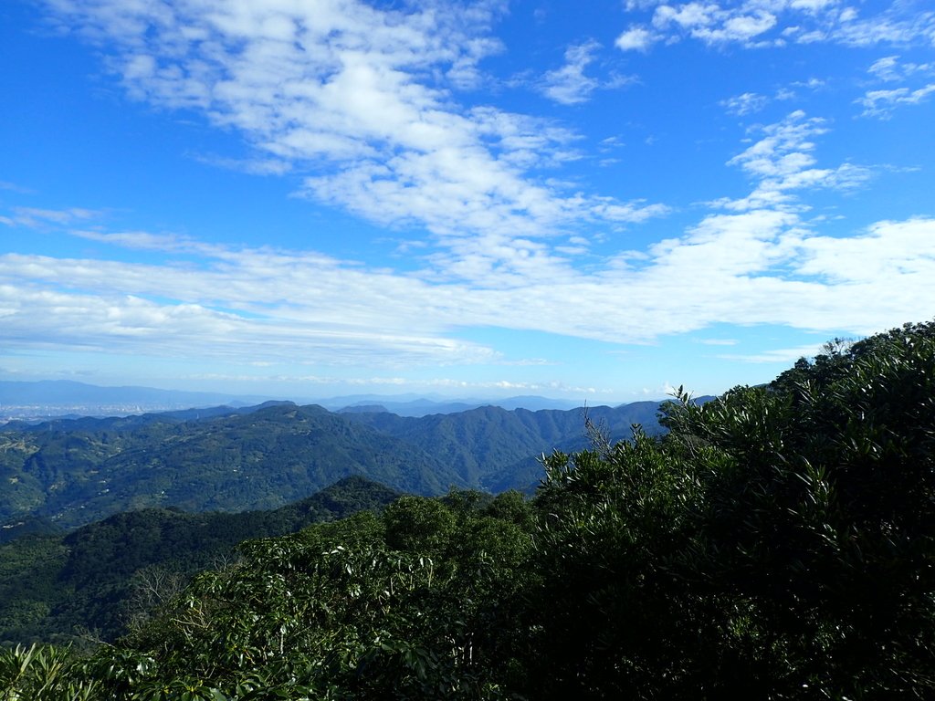 PB257500.JPG - 復興  東眼山森林步道