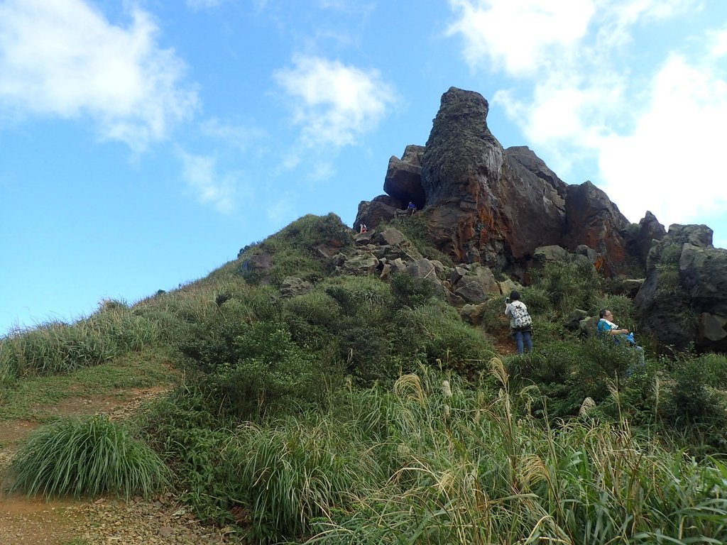 P1102357.JPG - 半坪山  無耳茶壺山