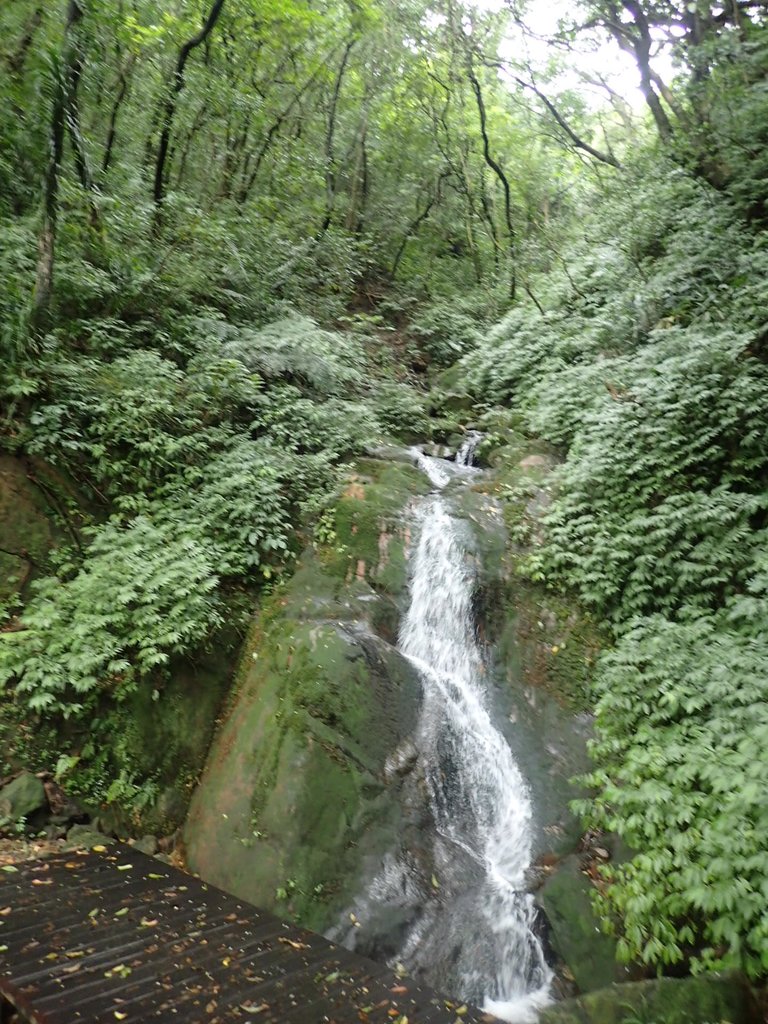 P1274381.JPG - 瑞芳  燦光寮古道初探