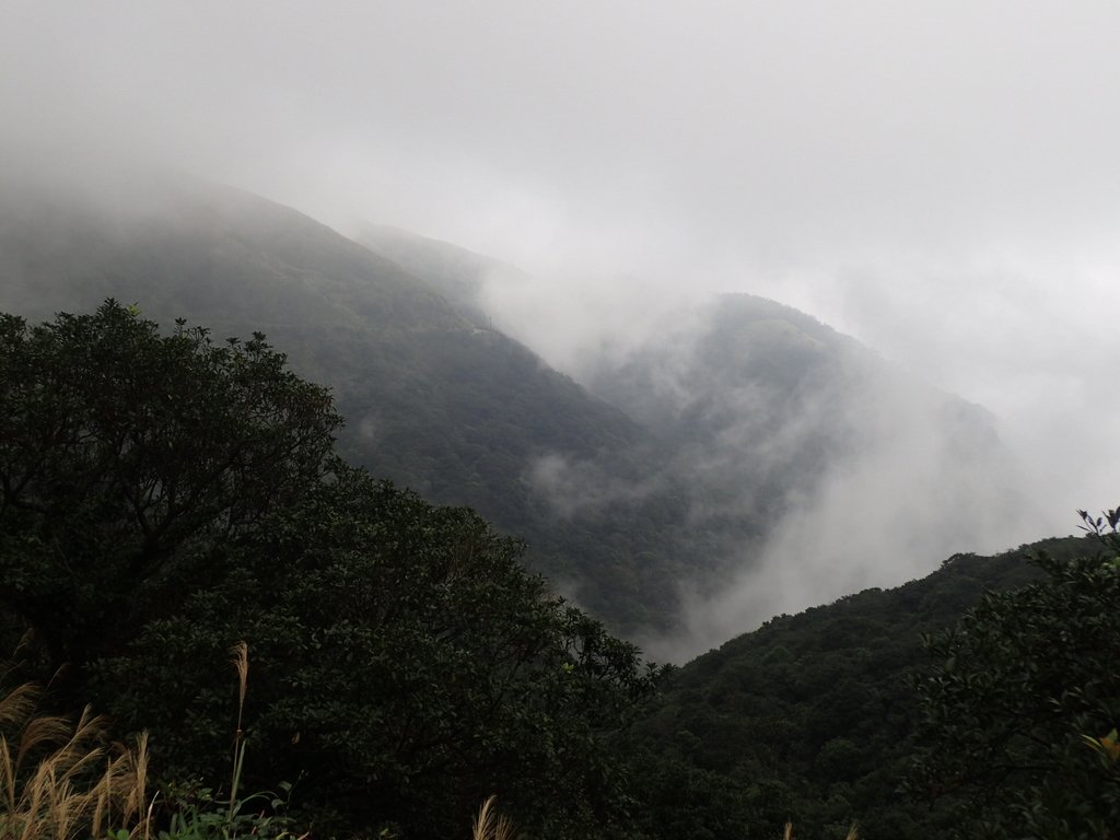 P1203566.JPG - 瑞芳  牡丹山