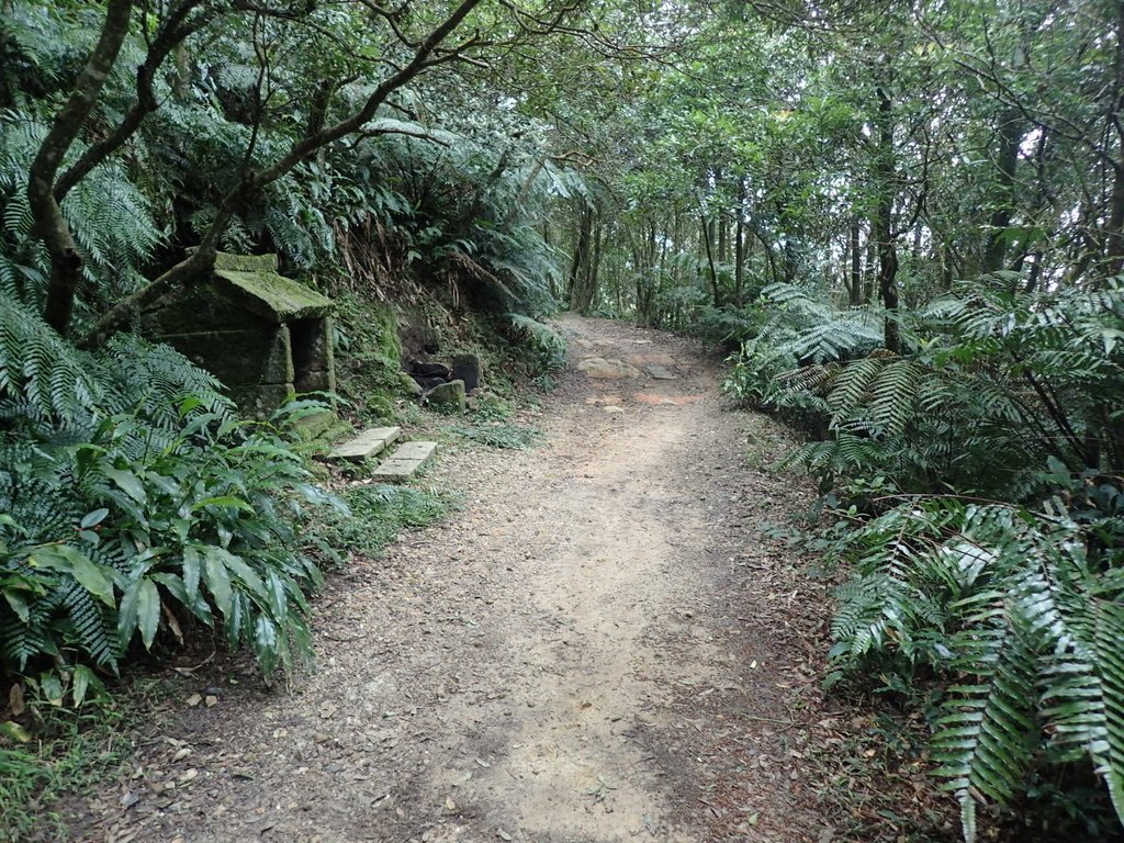 P2288677.JPG - 內湖  大崙頭山