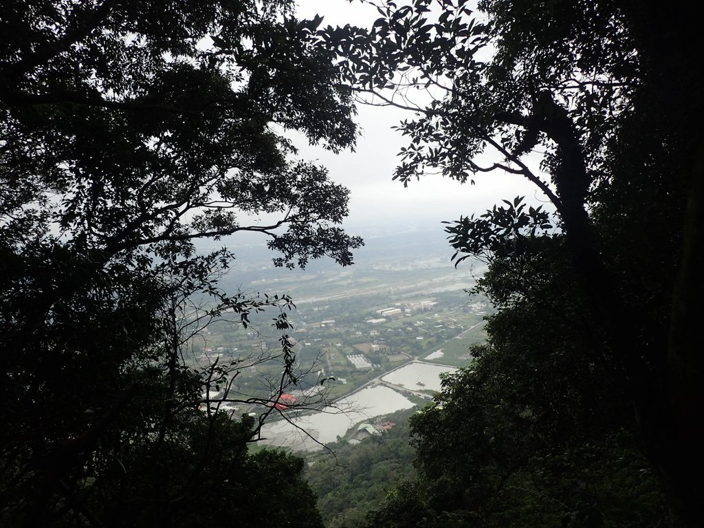 P2107501.JPG - 大溪  溪洲山登山步道