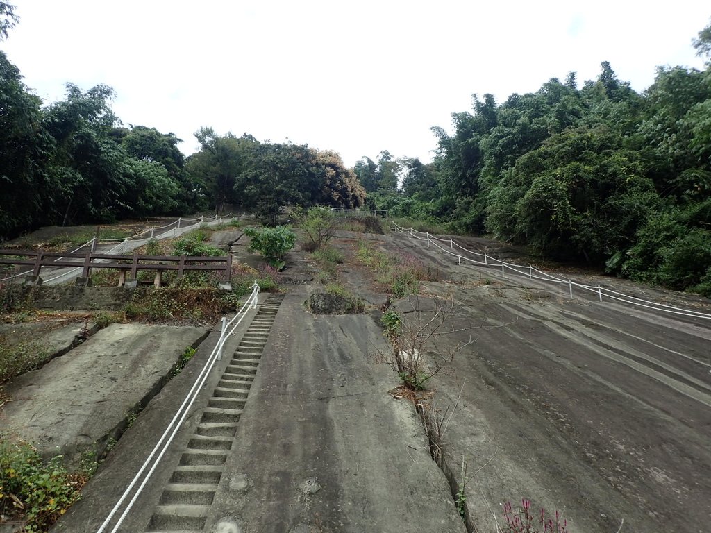 PA231653.JPG - 草嶺  茄苳步道  峭壁雄風
