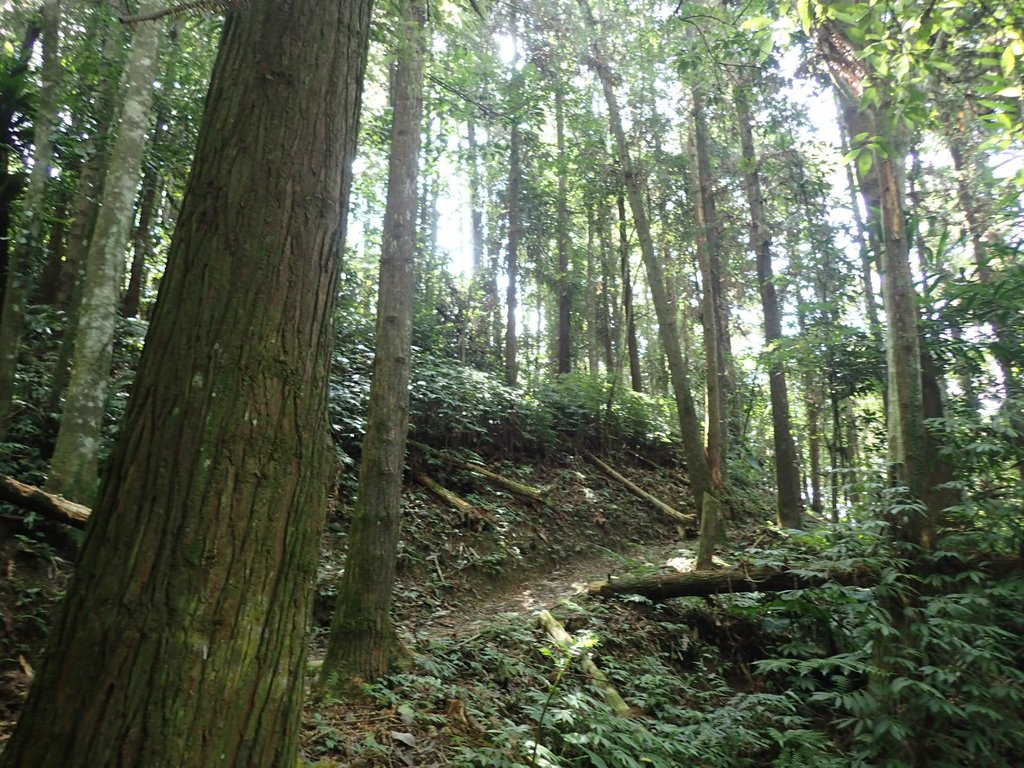 PA064471.JPG - 大湖  馬那邦山  (03)