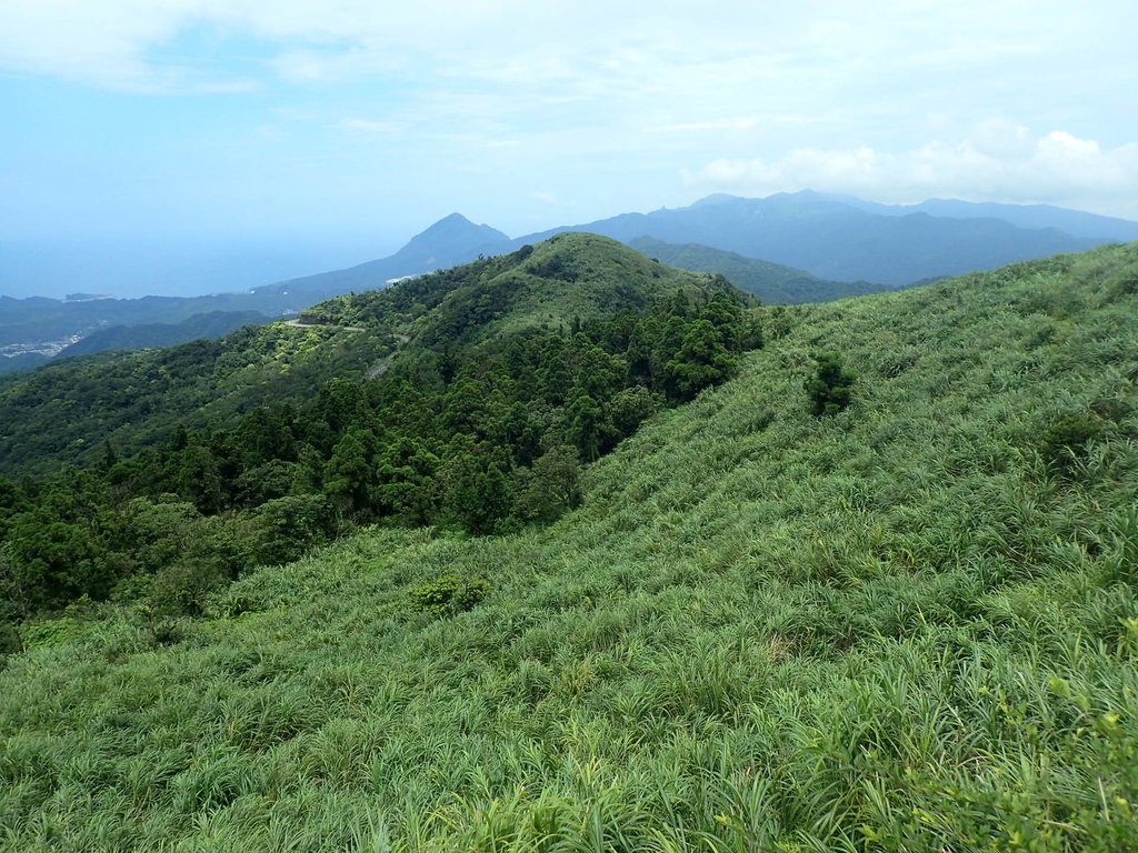 P7203879.JPG - 瑞芳  五分山登山步道