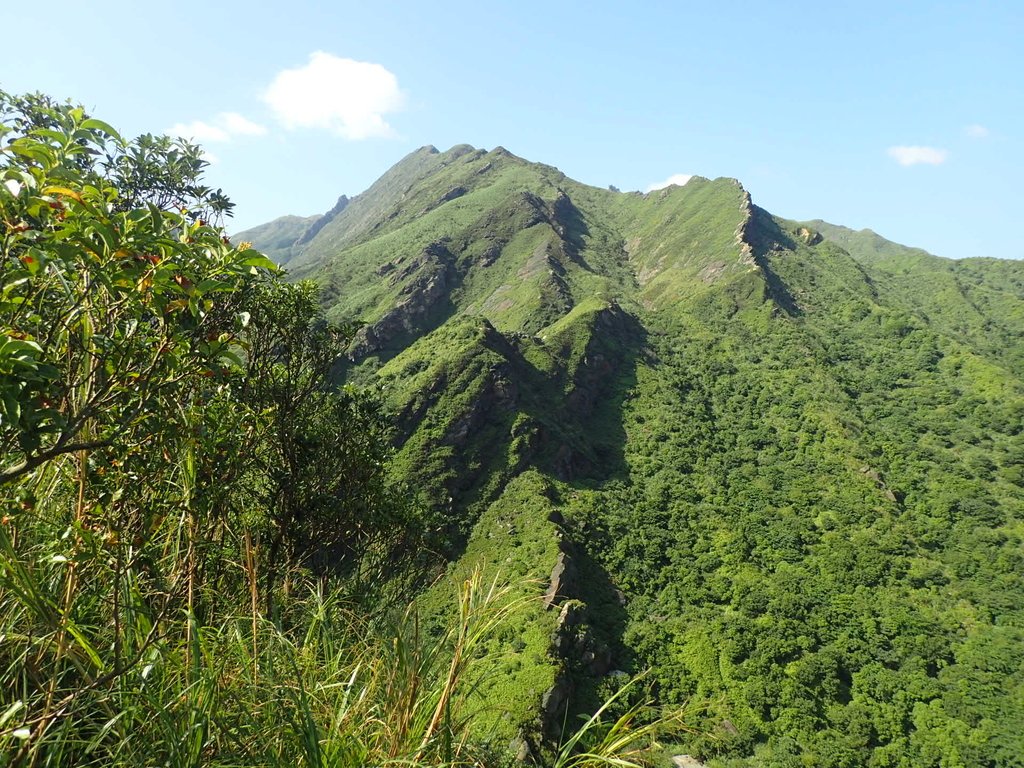 PA104832.JPG - 秋晴  南子吝山  登龍尾坪