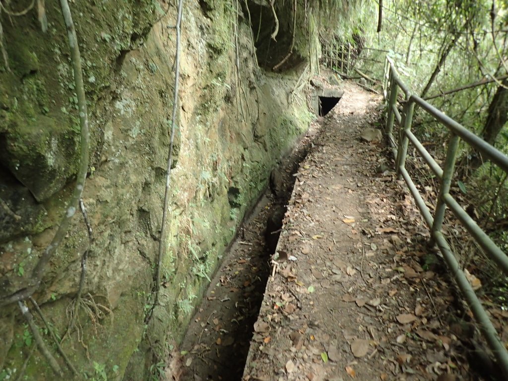 PA171299.JPG - 鹿谷  長源圳古道