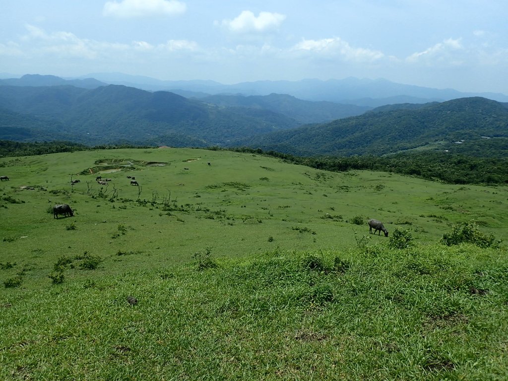 P5258792.JPG - 貢寮  桃源谷  灣坑頭山