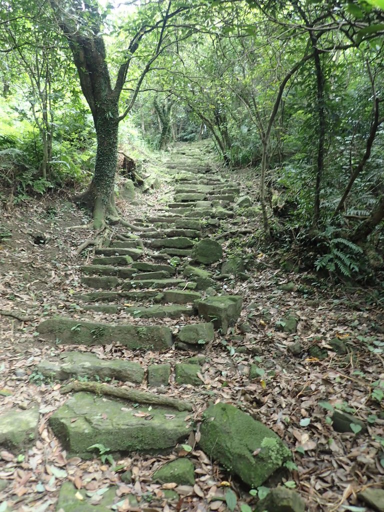 P7062130.JPG - 九份  小粗坑越嶺古道