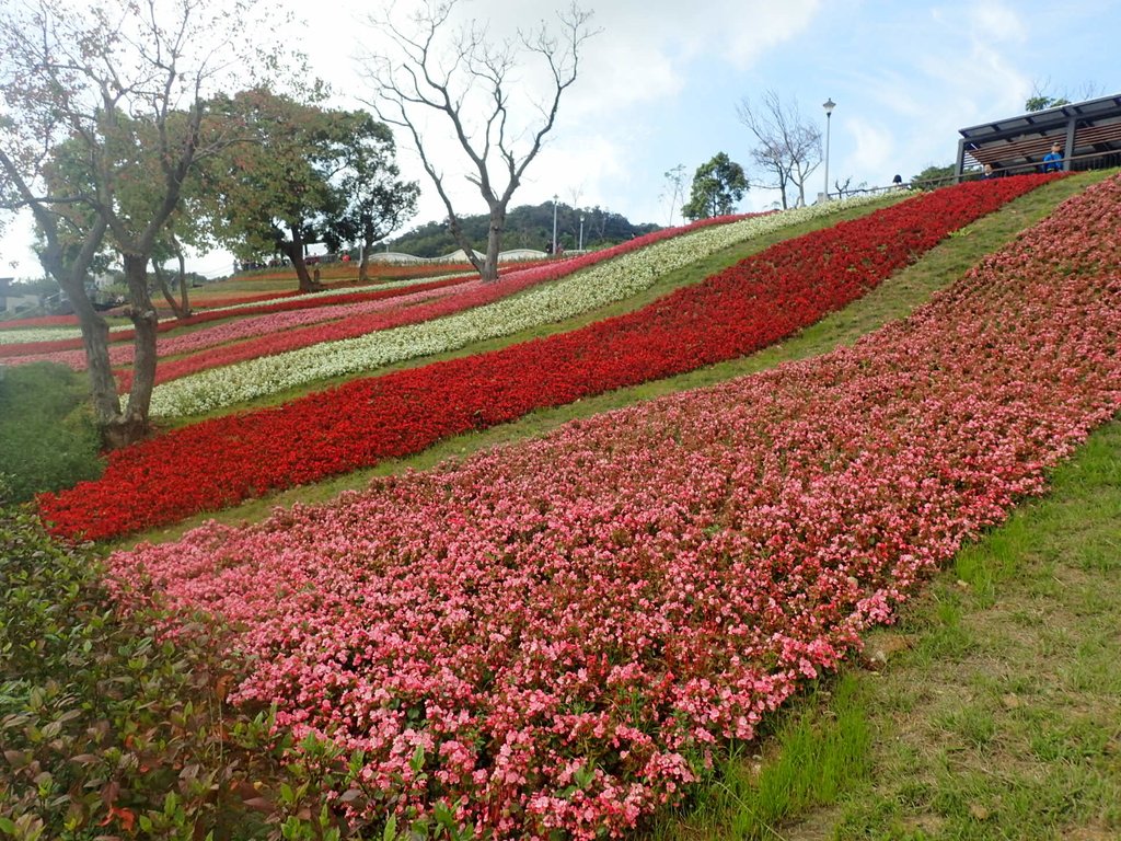 P2155431.JPG - 北投社  三層崎公園