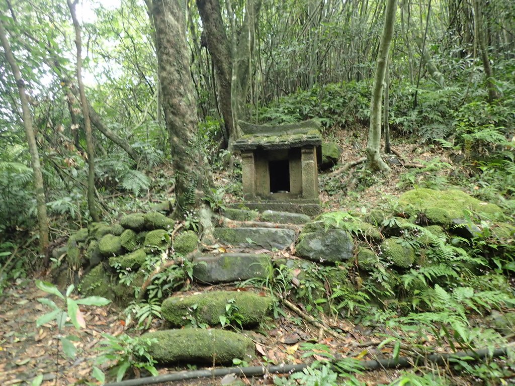 P3308235.JPG - 萬里  大路嶺古道行