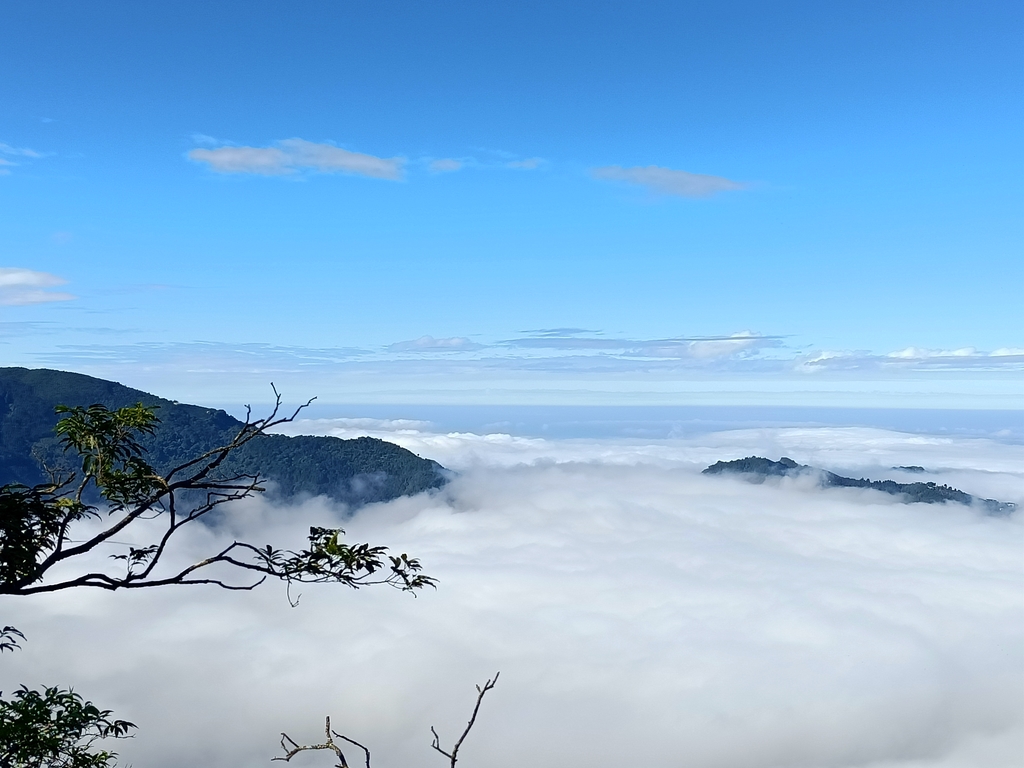 IMG20201205093701.jpg - 鹿谷  溪頭  南鳳凰山